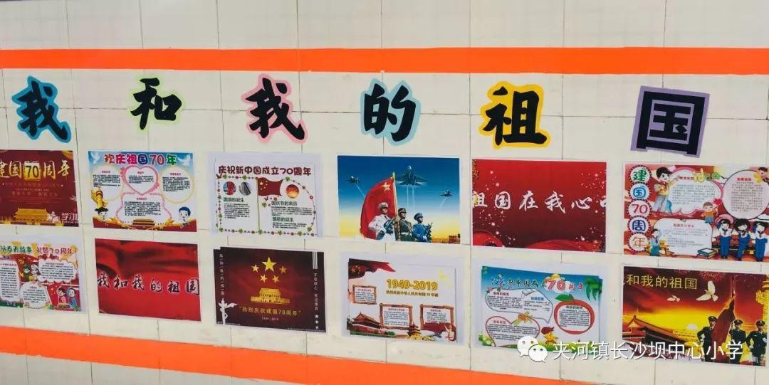 救援小橘猫